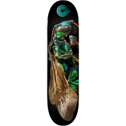 BISS ORCHID CUCKOO BEE - 8.0 - POWELL PERALTA