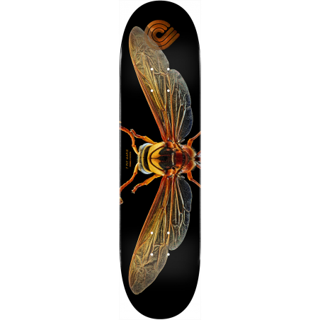 BISS POTTER WASP - 8.0 - POWELL PERALTA