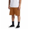 DC SHOES - CARPENTER BAGGY SHORT