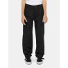 DICKIES K MILLERVILLE CARGO PANT