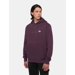 DICKIES SUMMERDALE HOODIE