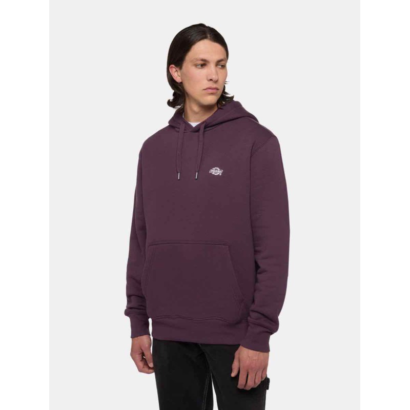 DICKIES SUMMERDALE HOODIE