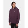 DICKIES SUMMERDALE HOODIE