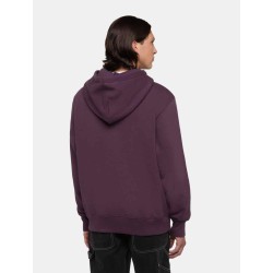 DICKIES SUMMERDALE HOODIE