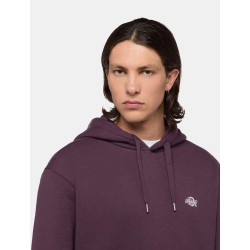 DICKIES SUMMERDALE HOODIE