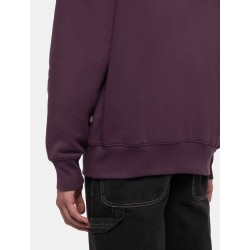 DICKIES SUMMERDALE HOODIE